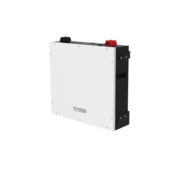 Dyness LFP  Battery